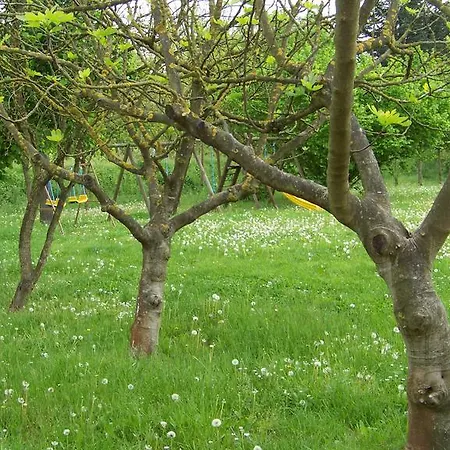 La Rocchetta 2* Monestirolo