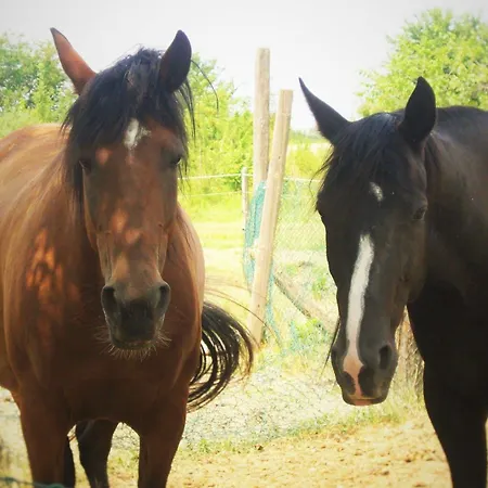 La Rocchetta Hotel Monestirolo