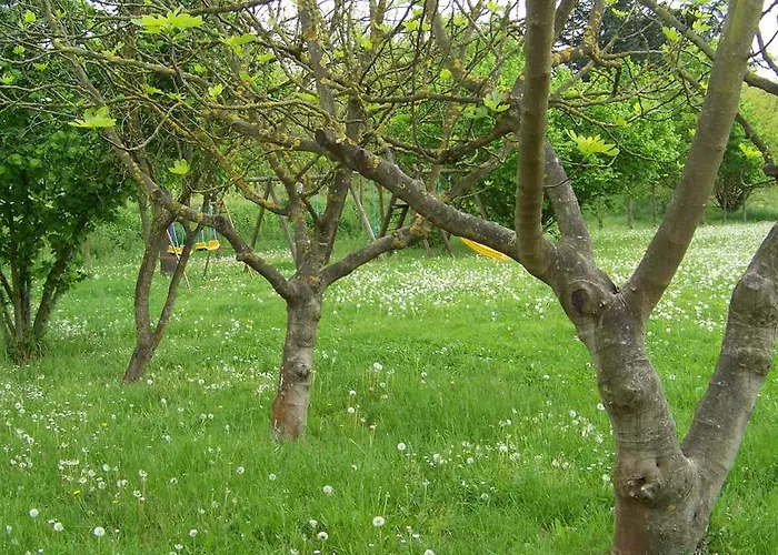 La Rocchetta 2* Monestirolo